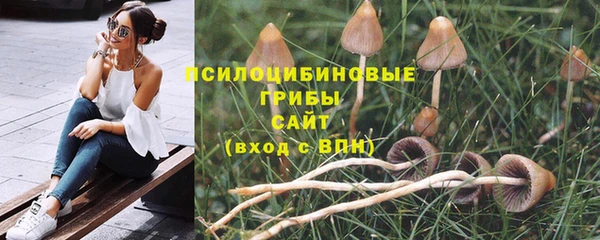 a pvp Абдулино