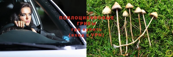 a pvp Абдулино