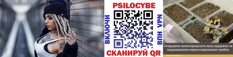 Галлюциногенные грибы мицелий  сайты даркнета телеграм  Ильский 